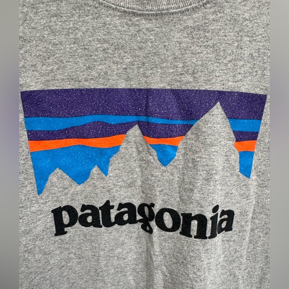 Patagonia Heather Gray Long Sleeve Regular Fit Responsibility-tee - Picture 7 of 7